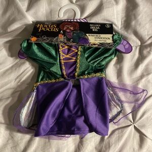 Hocus pocus dog costume